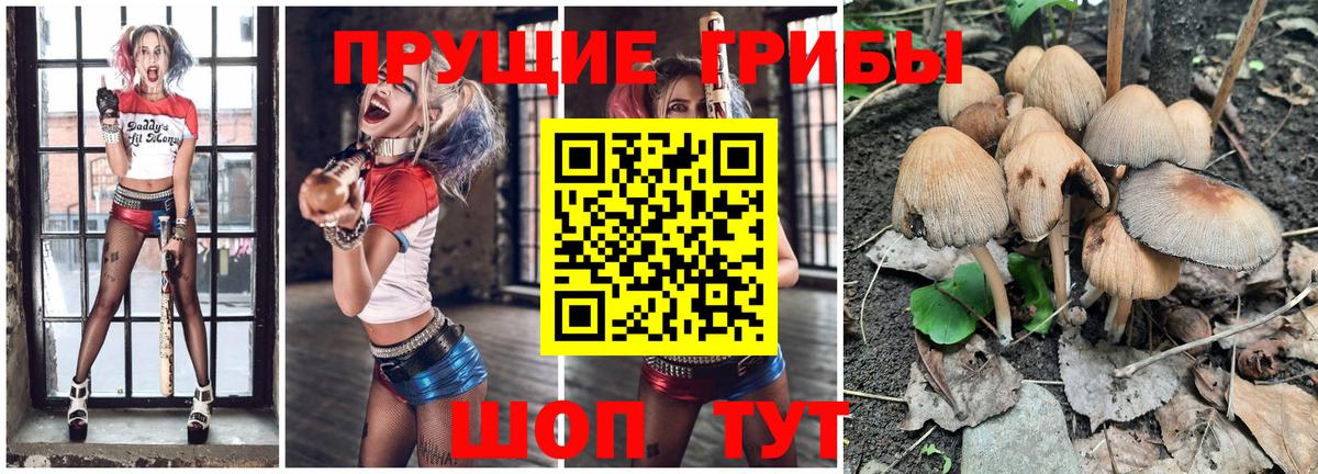 Псилоцибиновые грибы Psilocybe  Галлюциногенные грибы мухоморы  Вход с VPN  Вольск 