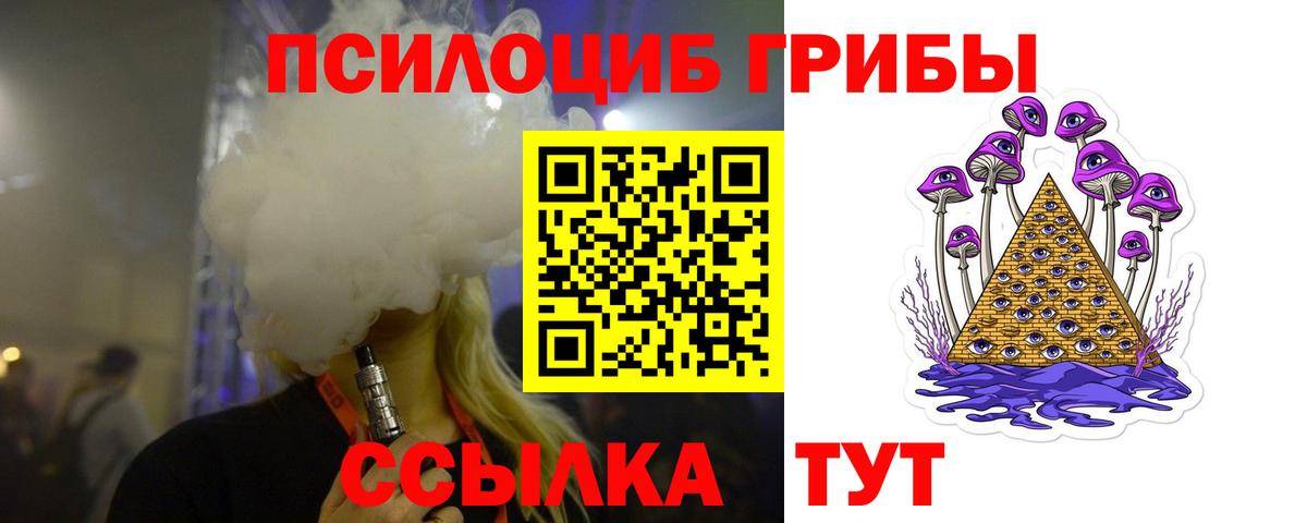Галлюциногенные грибы Cubensis Вольск